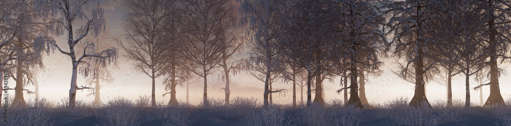 Winter Woodland with Snow covered Trees in a Pale Mist. Seasonal Banner. Winter Woodland with Snow covered Trees in a Pale Mist. Seasonal Banner.