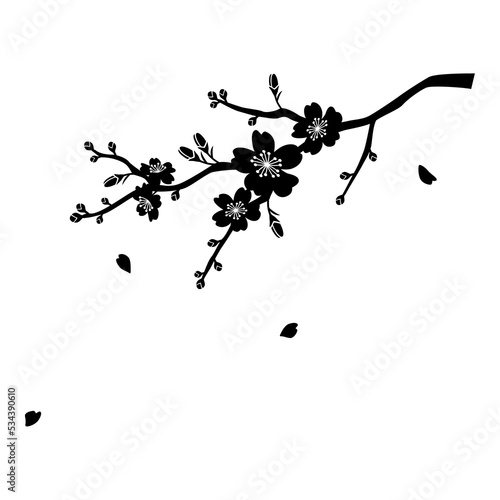 silhouette illustration of cherry blossom flower branch 