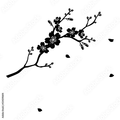 silhouette illustration of cherry blossom flower branch 