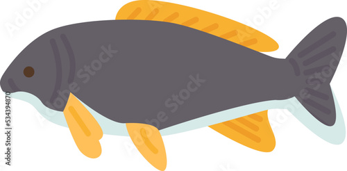 carp icon