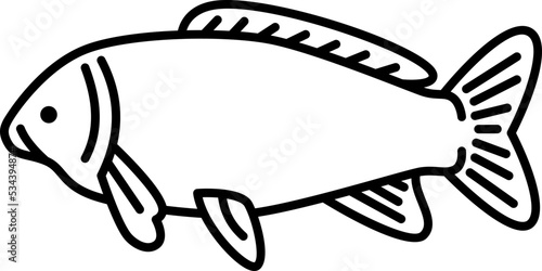 carp icon