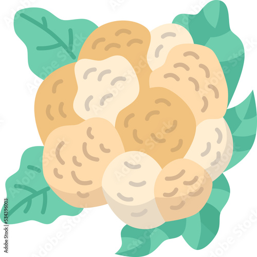 cauliflower icon