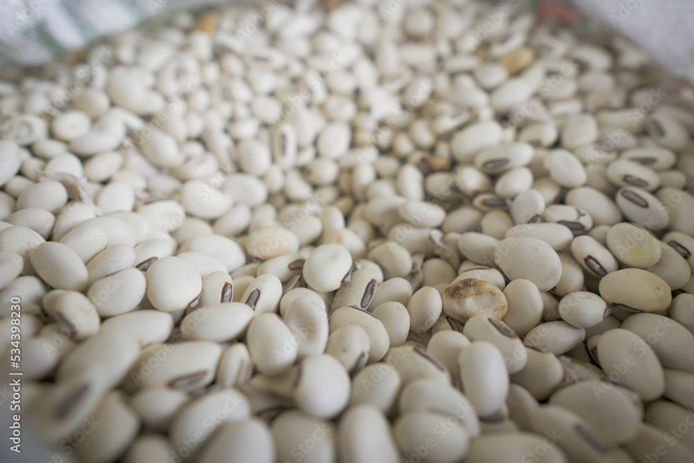 Organic Navy Bean from Thailand. Organic Navy Bean from Thailand.