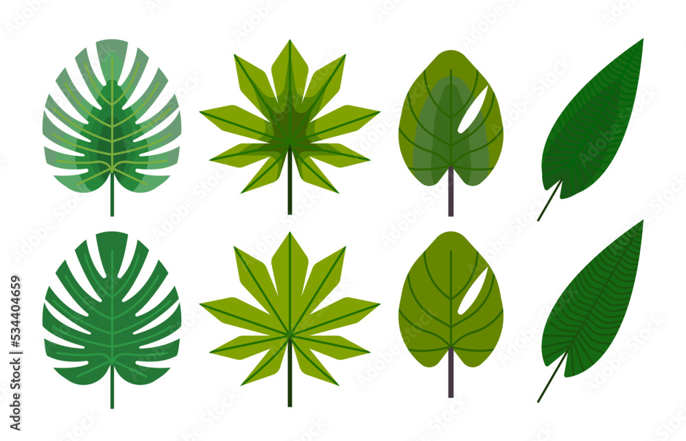 set of green leaves , tropical leaves set of green leaves , tropical leaves
