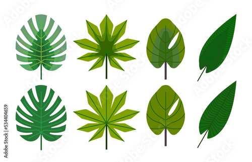set of green leaves , tropical leaves 