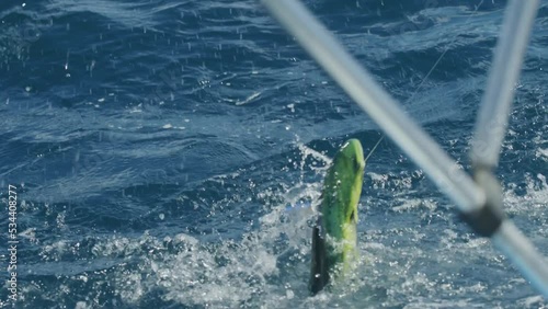 Slow motion fishing for mahi mahi on boat in blue ocean water with fish on line