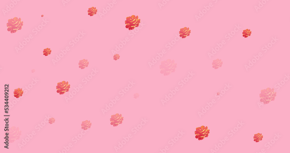 Image of roses spread on pink background Image of roses spread on pink background