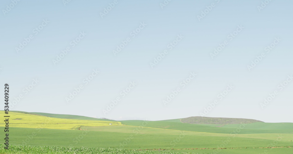 Image of summer landscape with meadow, hills and copy space