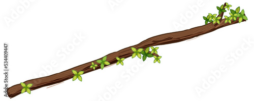 Tree branch isolated on white background
