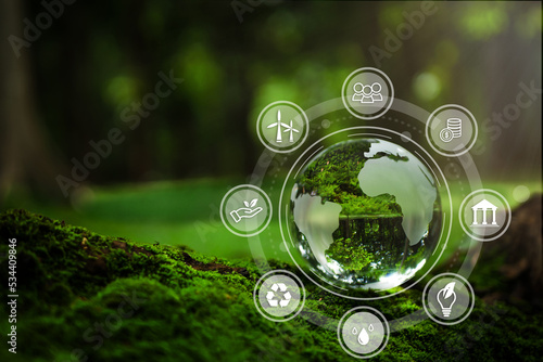 Crystal globe putting on moss, ESG icon for Environment Social and Governance, World sustainable environment concept with a green background.