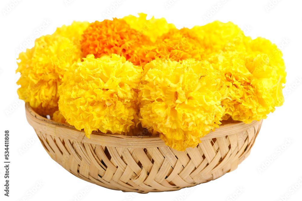 Marigold Flower for dasara Festival, Indian Festival flower decoration.