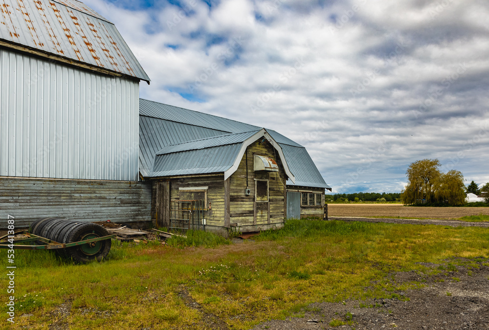Obraz premium Old wooden farmhouse, vintage rural shed for storage in the countryside in Canada