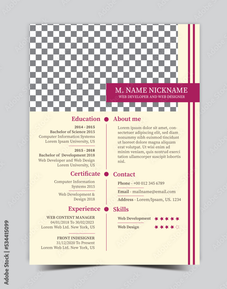 Web developer and web designer resume, CV design template, and profile