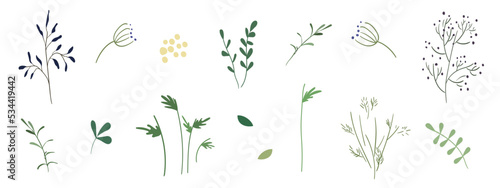 Field plants, flower stems, leaves, herbs, twigs, flower pollen in a naive style. Set of isolated vector botanical elements. Use for decor, design, stickers, tattoos, decorations, icons, symbols, etc.