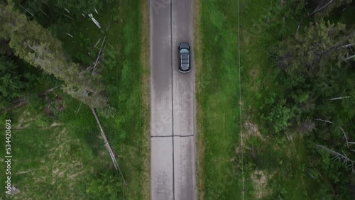 Top straight down view of Black Buick Enclave driving forest unpaved road passing trees