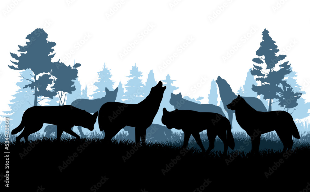 custom made wallpaper toronto digitalPack of wolves in coniferous forest. Evening twilight. Silhouette picture. Wild animal in nature. Predator in natural conditions. Isolated on white background. Vector.
