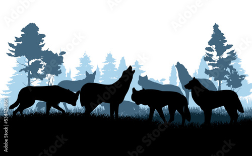 Pack of wolves in coniferous forest. Evening twilight. Silhouette picture. Wild animal in nature. Predator in natural conditions. Isolated on white background. Vector.