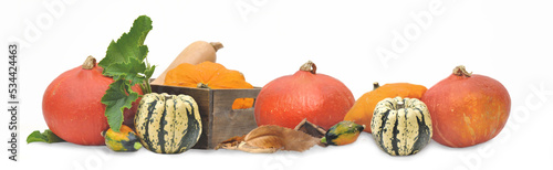 group of gourd arranged in panoramic view on white background