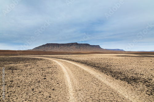 Atacama Track 