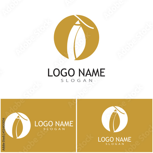 Cocoon illustration logo vector design