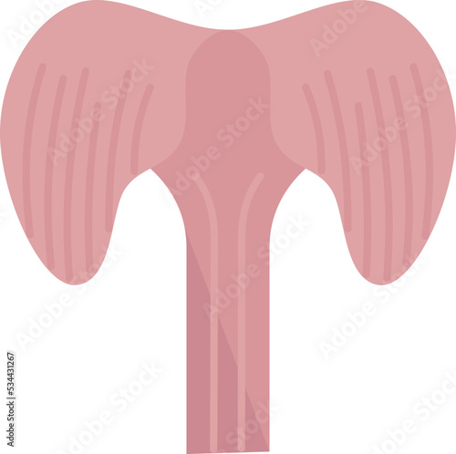 diaphragm icon