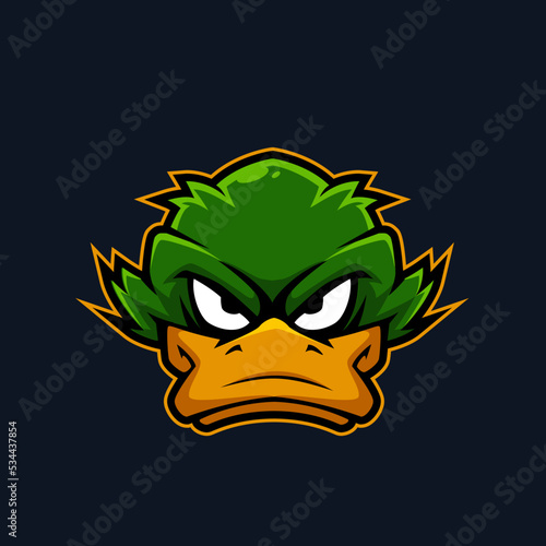 head duck mascot logo cartoon