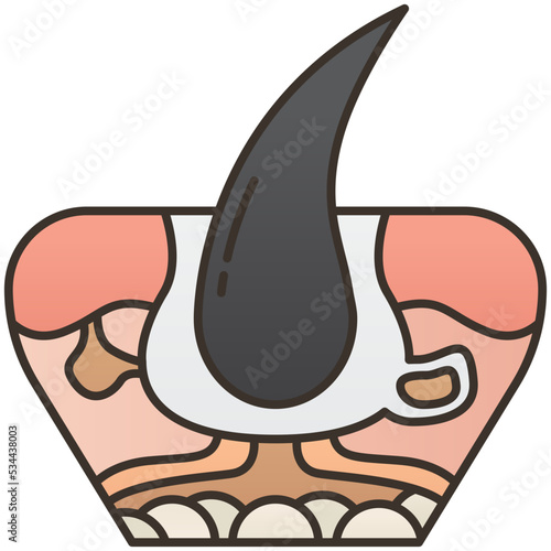 Epidermis icon