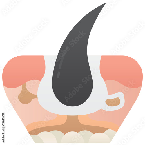 Epidermis icon