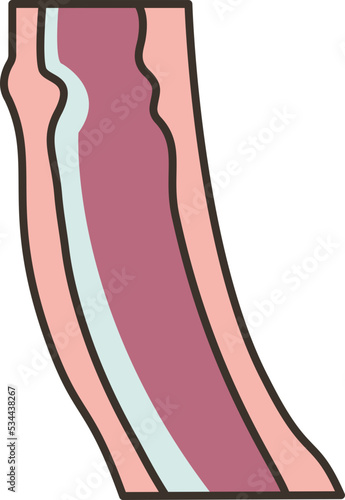 Esophagus icon