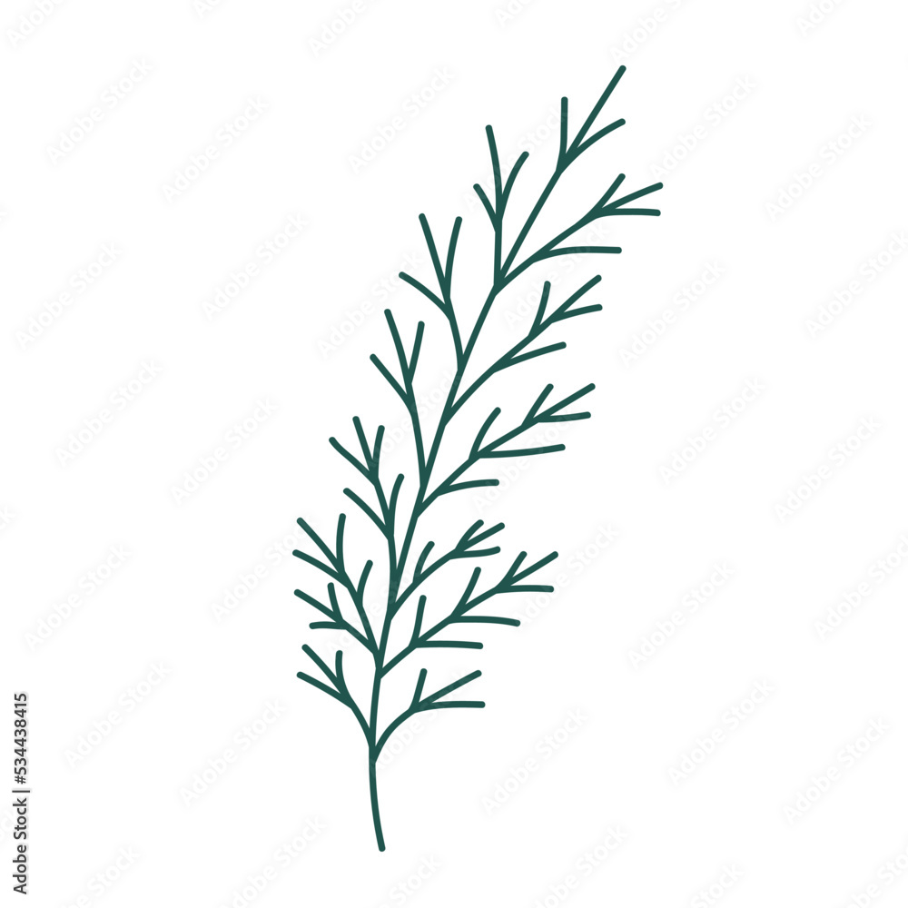 Fototapeta premium Hand drawn Christmas tree branch isolated on white background. Decorative doodle sketch illustration. Vector floral element.