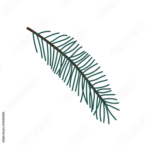 Hand drawn Christmas tree branch isolated on white background. Decorative doodle sketch illustration. Vector floral element.