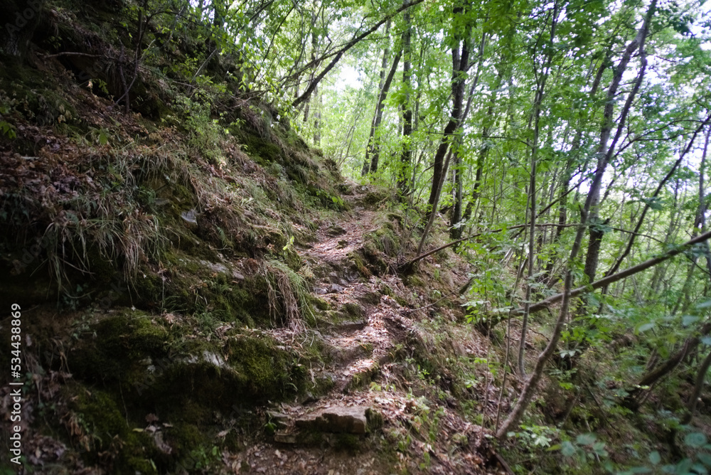 Rocce lungo il sentiero per l'arco di Fondarca nelle Marche in Italia Rocce lungo il sentiero per l'arco di Fondarca nelle Marche in Italia