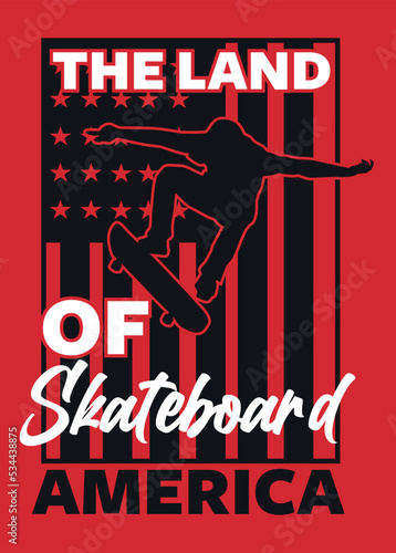 AMERICAN SKATEBOARD POSTER
