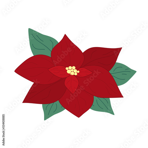 Hand drawn Christmas poinsettia with leaves isolated on white background. Decorative doodle sketch illustration. Vector floral element.