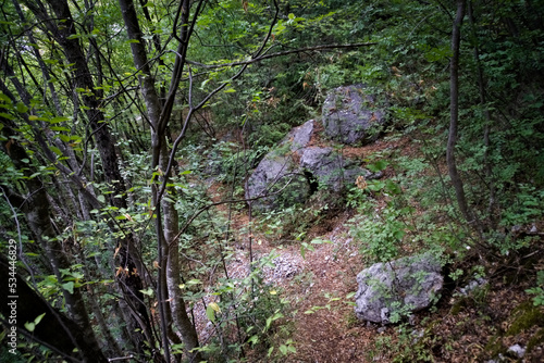 Sentiero di montagna nelle Marche