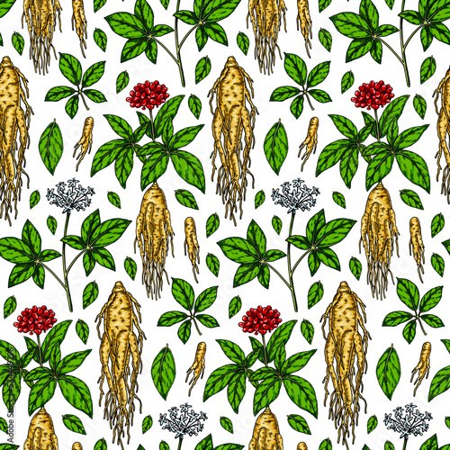 Colorful Hand drawn ginseng seamless pattern. Vector illustration in sketch style. Medicinal plant background. Botany design
