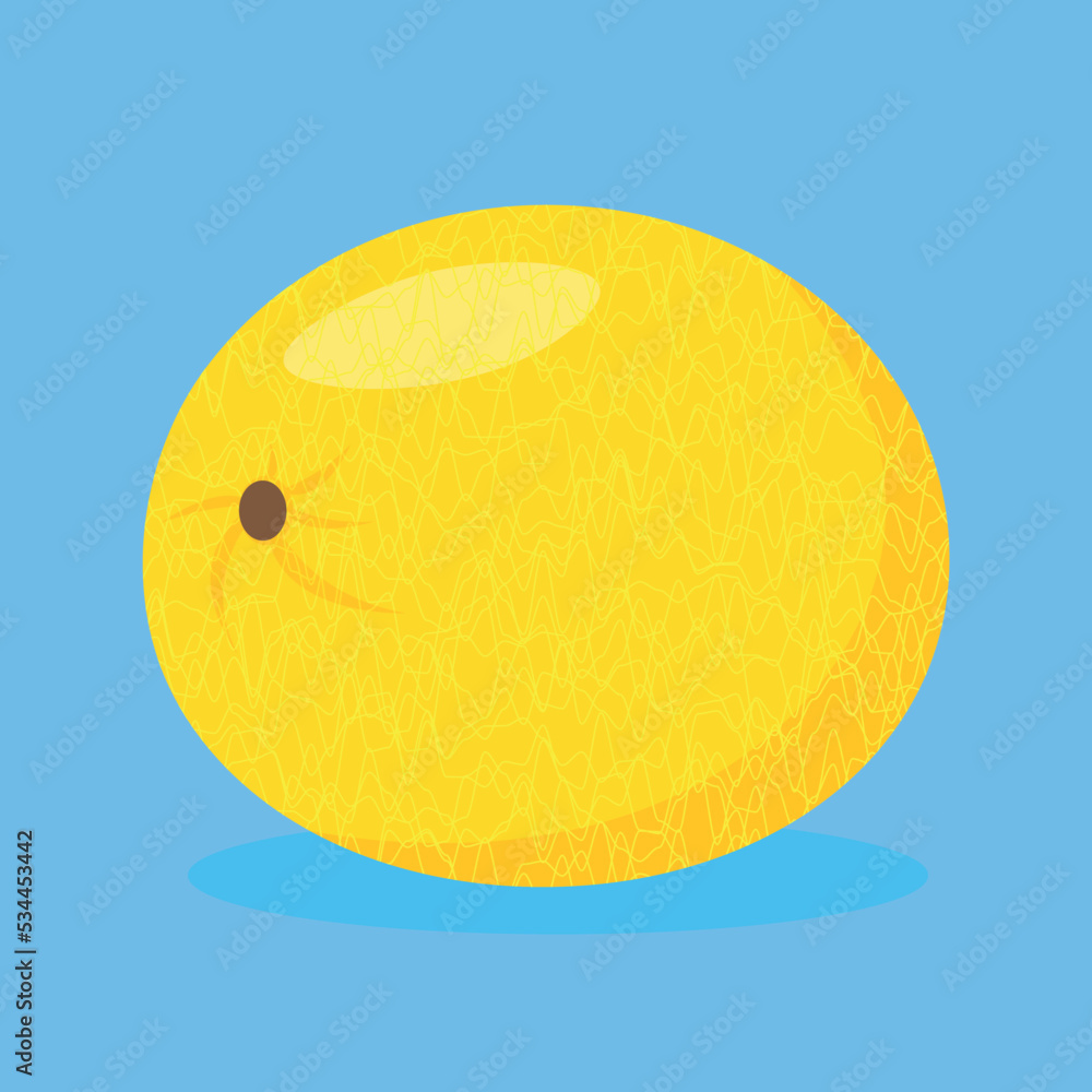 Yellow melon, illustration, vector, cartoon