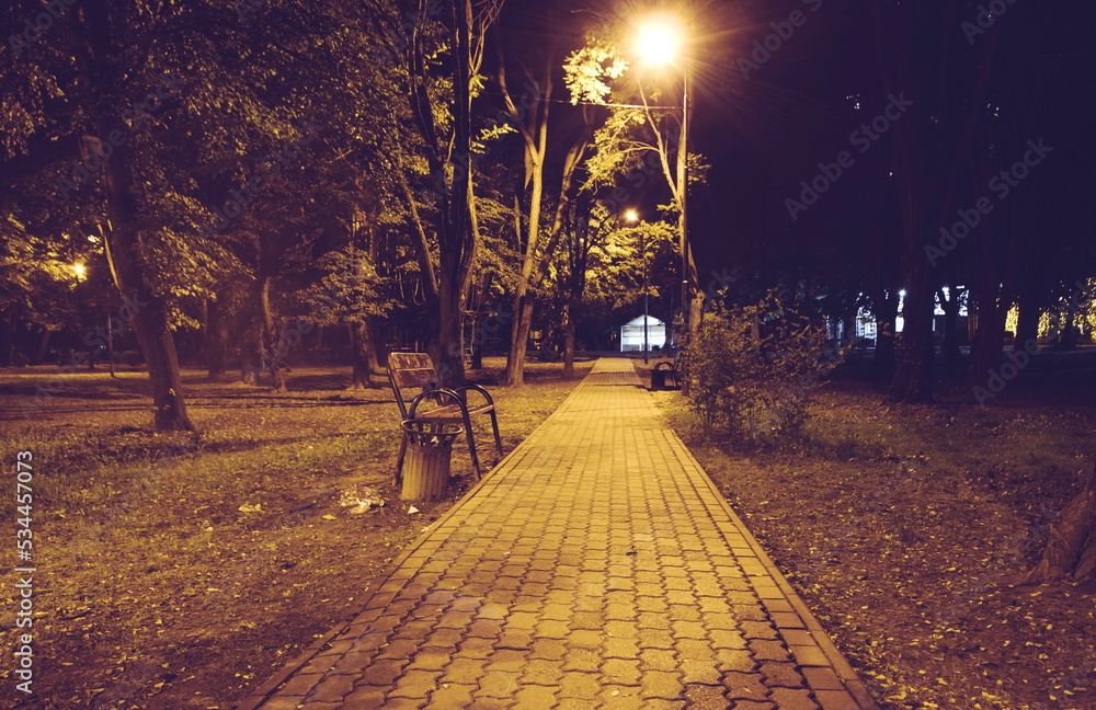 Obraz premium Summer night city park. Wooden benches, street lights, and green