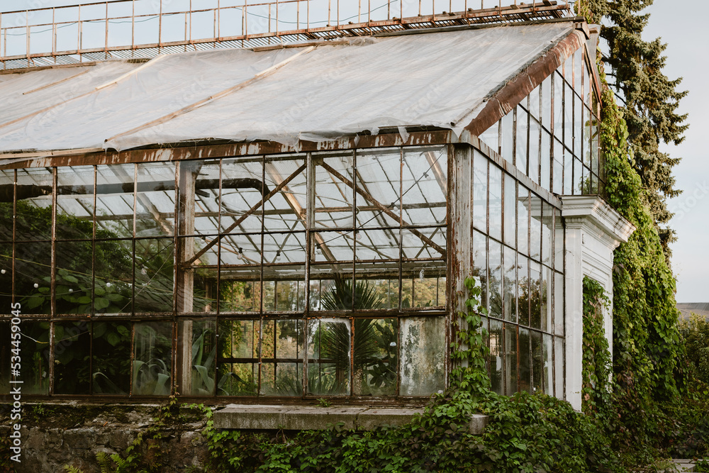 
Old greenhouse for growing plants. old greenhouse in the park. Photo of a retro greenhouse