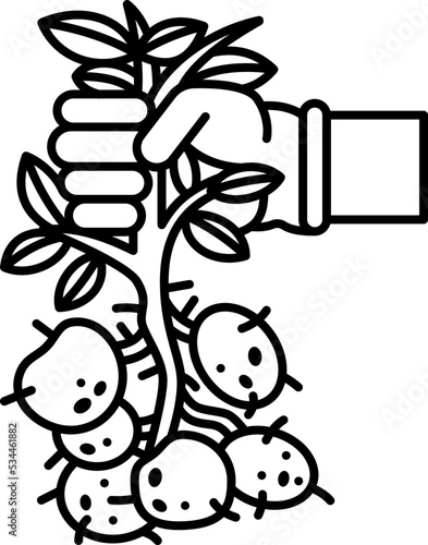 Harvest icon
