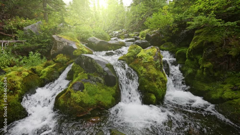 Mountain river in the forest with cascading waterfalls. Powerful stream ...