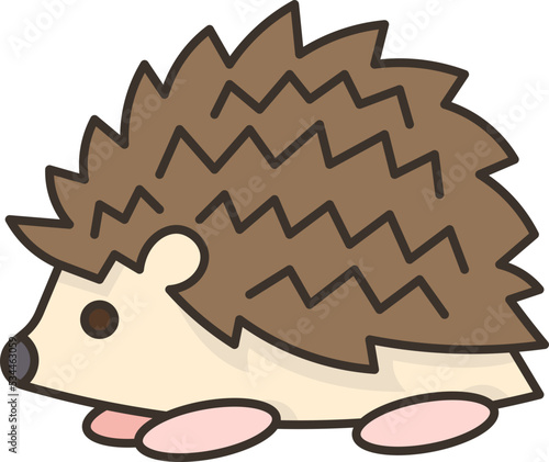hedgehog icon