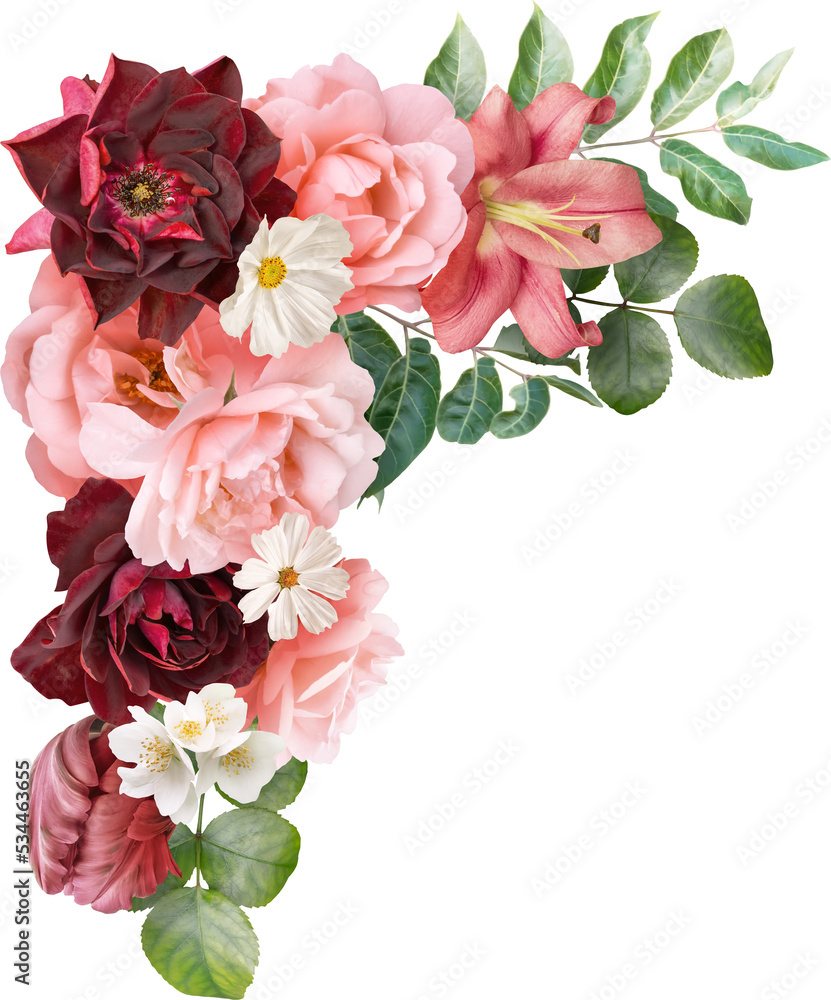 Red and pink flowers isolated on a transparent background. Floral