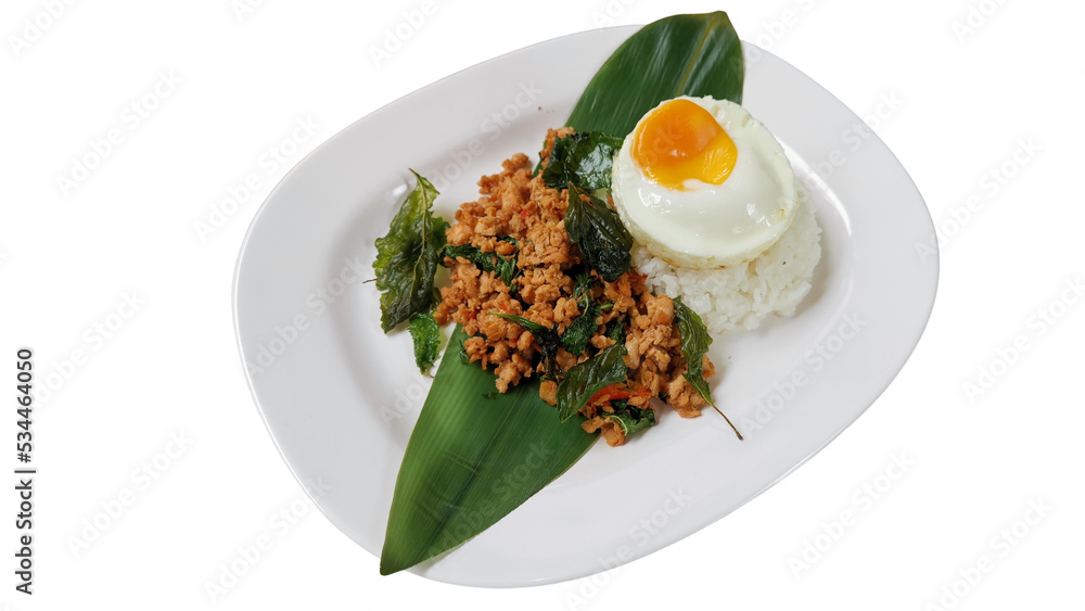 PAD KAPRAO, stir-fried meat with holy basil leaves served with steamed rice and sunny side up egg, one of most popular Thai dish, isolated white background PAD KAPRAO, stir-fried meat with holy basil leaves served with steamed rice and sunny side up egg, one of most popular Thai dish, isolated white background