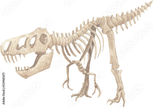 Cartoon fossils icon. Dinosaurs fossilization,bonesl.aleontology digging, animal skeleton museum watercolor illustration