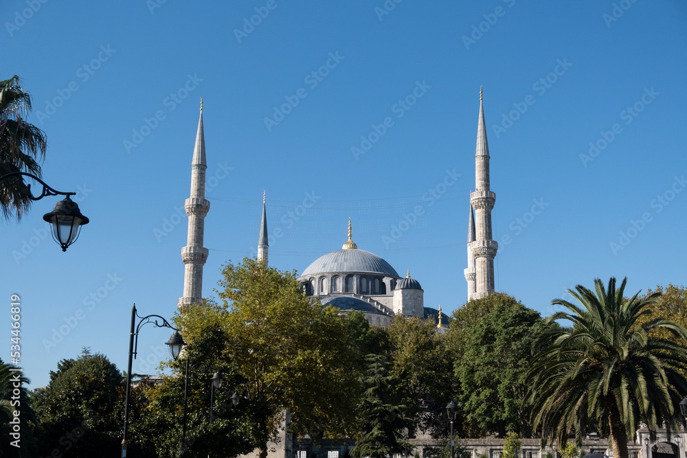 Fototapeta premium Mezquita de estambul