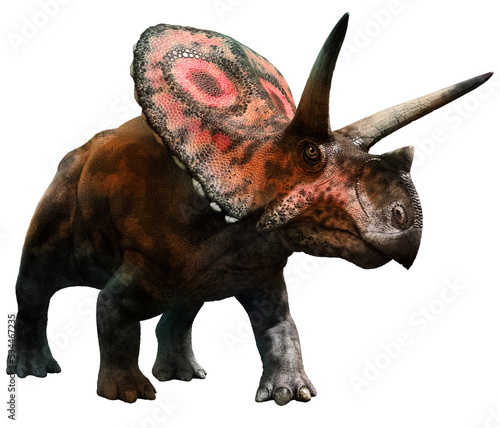 Fototapeta Naklejka Na Ścianę i Meble -  Torosaurus from the Cretaceous era 3D illustration	
