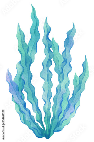 Cute mermaid .Watercolor marine illustration with fishes, mermaids, turtle in style, hand drawn icon png