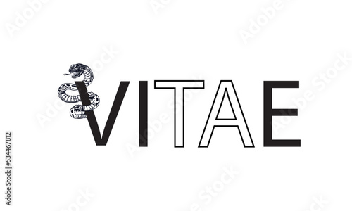 V Snake Logo