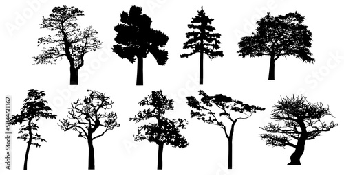 Png silhouette of isolated trees.
